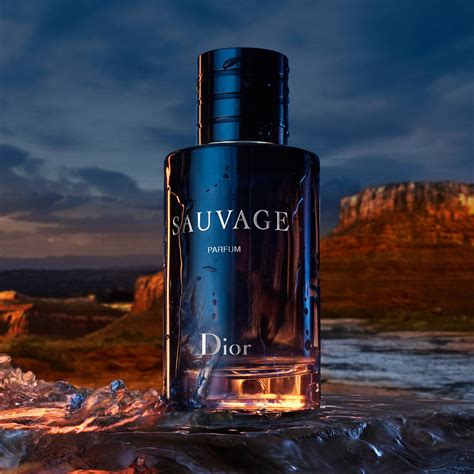 sauvage dior paris